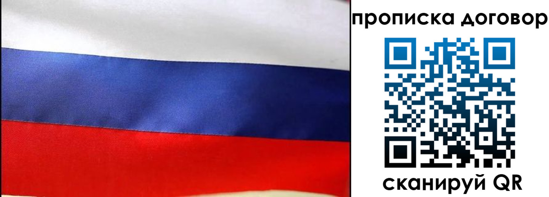 прописка гарантия в Мамадыше